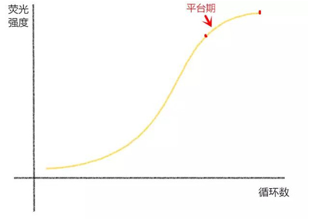 解密PCR那些奇奇怪怡的曲线图代表什么(图3)