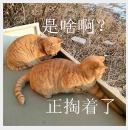 错过BTK但绝不能错过ITK！(图1)