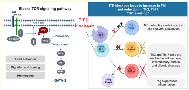 错过BTK但绝不能错过ITK！(图3)