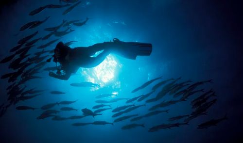 权威测评结果：这三大鱼油品牌品质无可挑剔(图2)