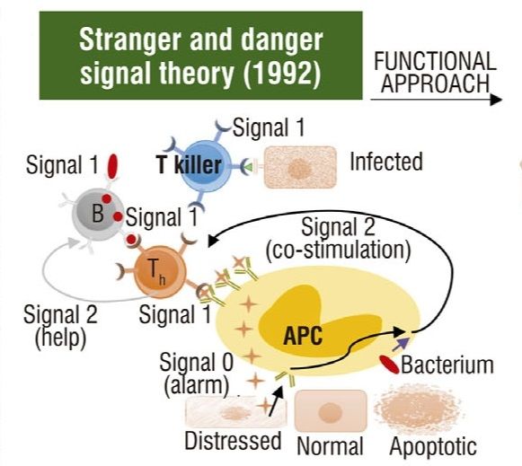 免疫识别理论的演变(图3)