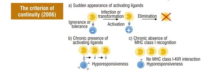 免疫识别理论的演变(图5)