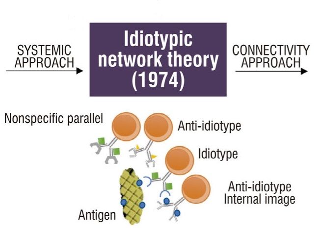 免疫识别理论的演变(图6)