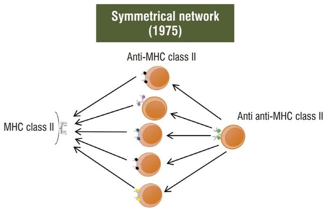 免疫识别理论的演变(图7)