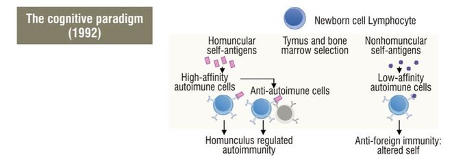 免疫识别理论的演变(图8)