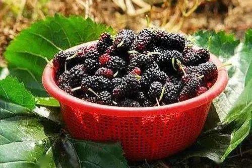 70个!鄂尔多斯计划3年内建成｜5月19日!这14个景区免门票｜油价有变(图6)