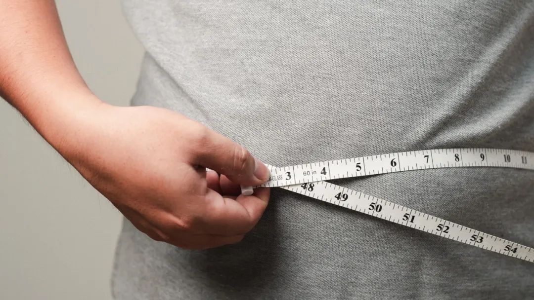 驻马店新闻(图1)