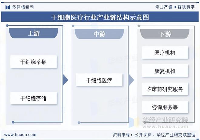 2025年中国干细胞医疗行业产业链、市场规模、市场结构及发展趋势分析(图1)