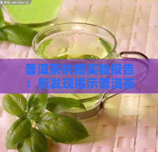 普洱茶动态(图1)