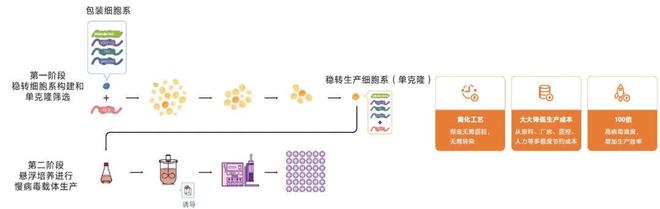 中美双报IND获批！优赛诺UC101获NMPAFDA认可EuLV筑牢合规根基(图2)