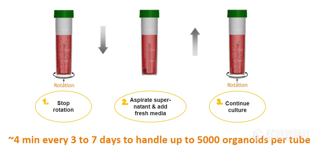 基于CERO生物反应器的人类干细胞规模悬浮扩增方法(图2)