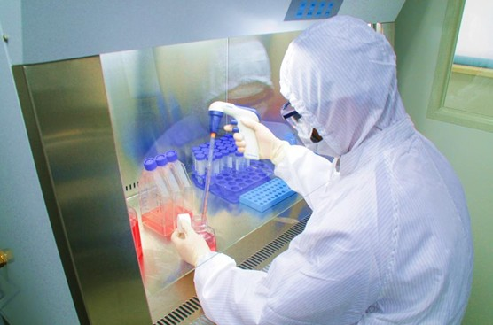 NK细胞疗法研究增长达55%中赢生物聚焦定向扩增技术(图1)