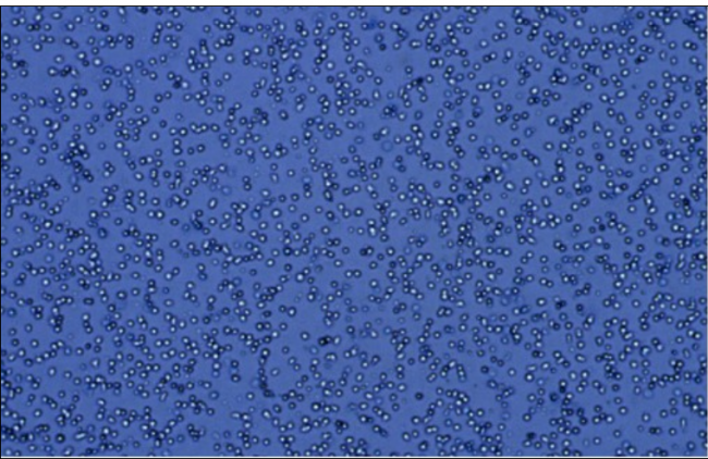 NK细胞疗法研究增长达55%中赢生物聚焦定向扩增技术(图2)
