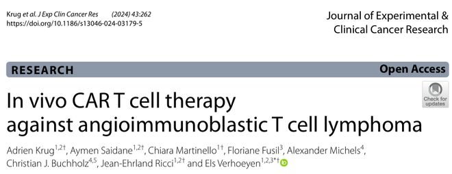 体内CAR-T细胞疗法为罕见T细胞淋巴瘤带来新希望(图1)