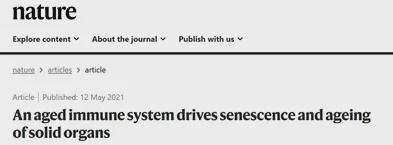 免疫细胞是人体最先衰老的细胞！Nature：免疫衰老可加速全身(图4)