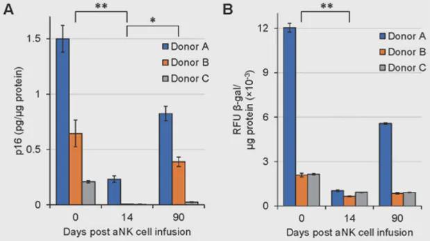 免疫细胞是人体最先衰老的细胞！Nature：免疫衰老可加速全身(图5)
