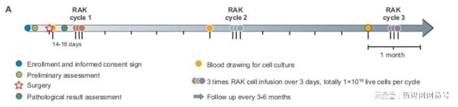 肝癌治疗重大突破！RAK细胞疗法显著延长无复发生存期(图2)