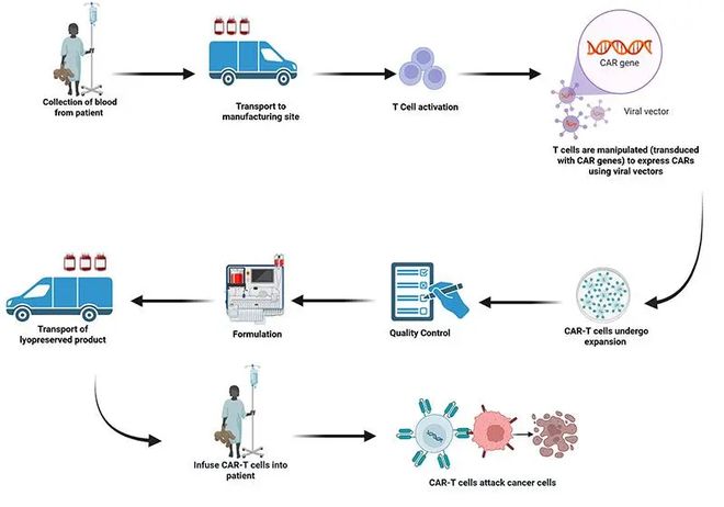 CAR-T细胞疗法的制造历程(图2)