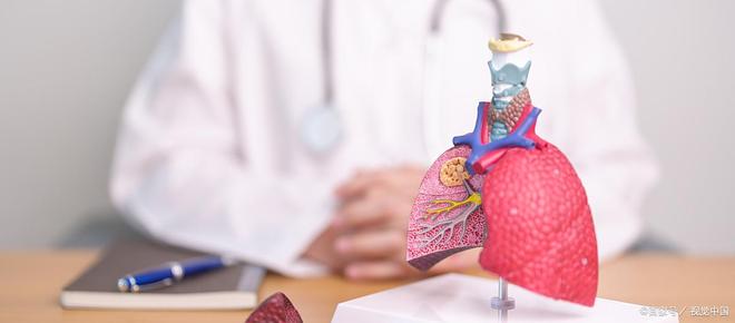 易瑞沙（吉非替尼）：中国肺癌靶向治疗的破晓之光与未竟之战(图2)