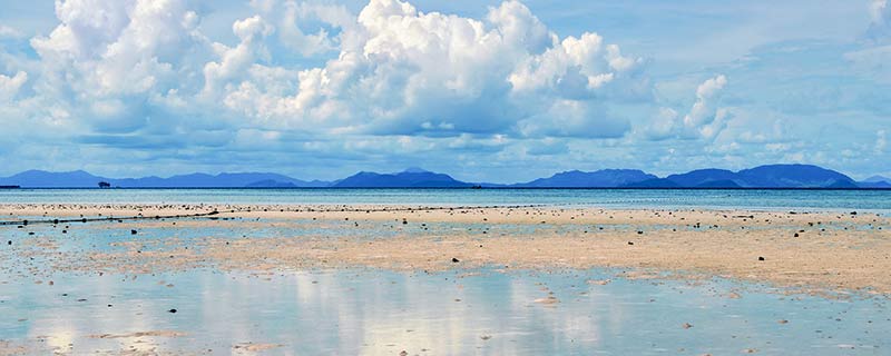 原生生物有哪些有哪些原生生物(图1)