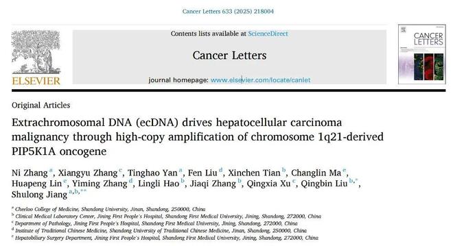 CancerLetters丨蒋树龙团队揭示ecDNA介导PIP5K1A扩增驱动肝癌进展的新机制(图1)