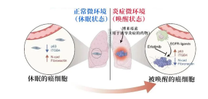 贵阳东大肛肠医院：长期炎症会“唤醒”癌细胞！肠炎、胃炎需及时治疗！(图1)
