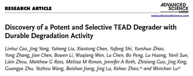 AdvSci丨赵克浩陆文超开发靶向转录因子TEAD的选择性蛋白降解剂(图1)