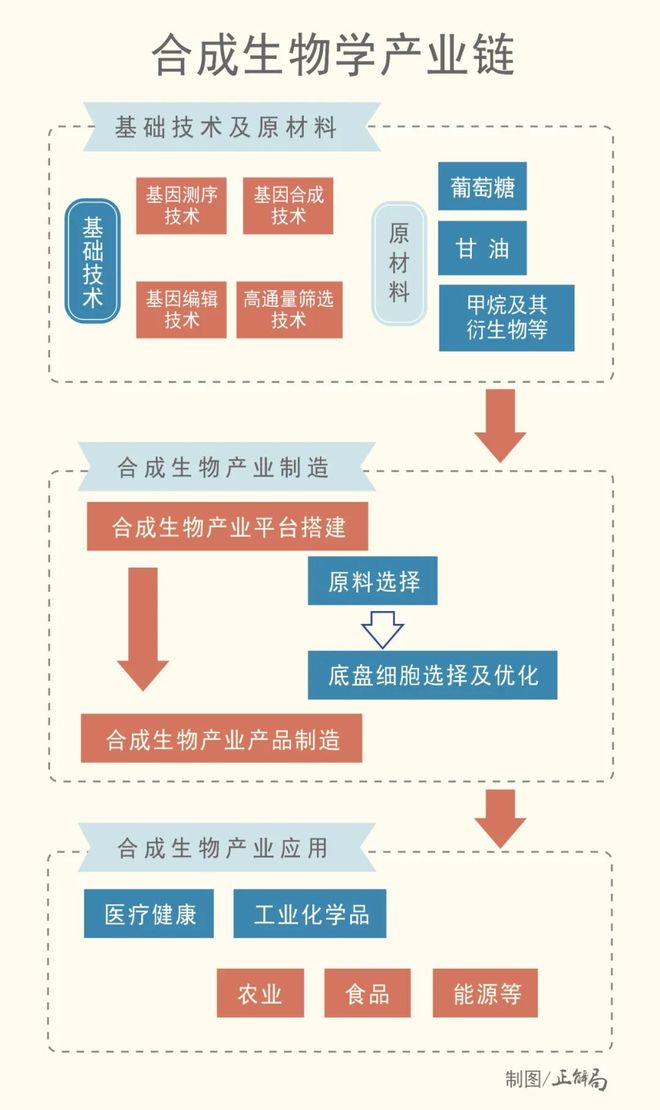 全球竞争万亿合成生物产业中国凭什么领跑？(图8)