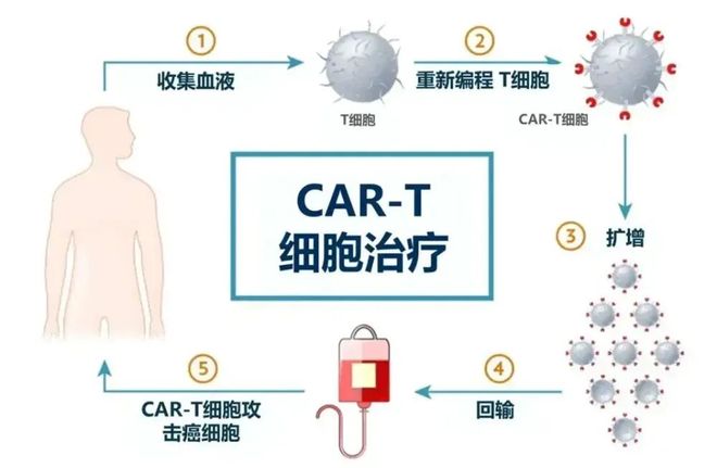 全球竞争万亿合成生物产业中国凭什么领跑？(图5)