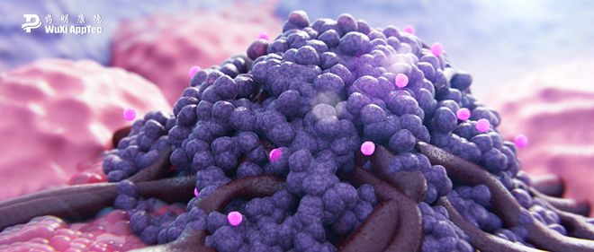 《自然》：有望完全清除肿瘤！这种饮食模式与药物联用让致命癌症“改邪归正”(图2)