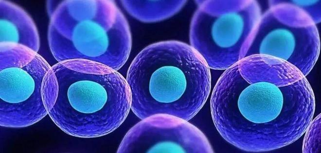 为什么说老年人应该打免疫细胞？(图4)