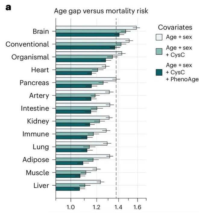 为什么说老年人应该打免疫细胞？(图5)