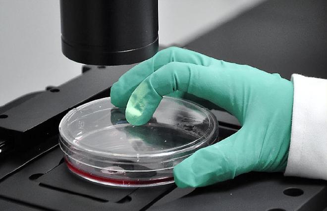 只需要120万一针就能够消灭癌细胞吗？这种说法有科学依据吗(图3)