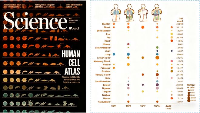 基因表达谱技术在药物研发与疾病机制研究中的应用进展(图1)