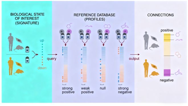 基因表达谱技术在药物研发与疾病机制研究中的应用进展(图2)
