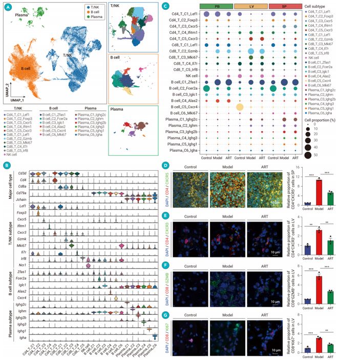 厉害！屠呦呦团队揭示青蒿素免疫调节新机制！做图好看意义非凡！(图2)