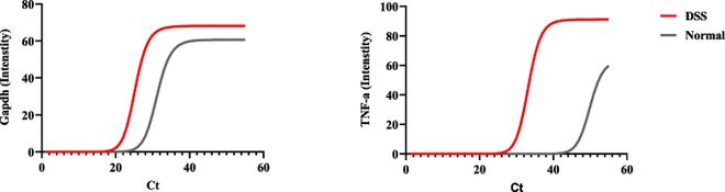 APPS优化TRIzol-硅胶柱法提取DSS结肠炎模型RNA：解决PCR抑制问题(图3)