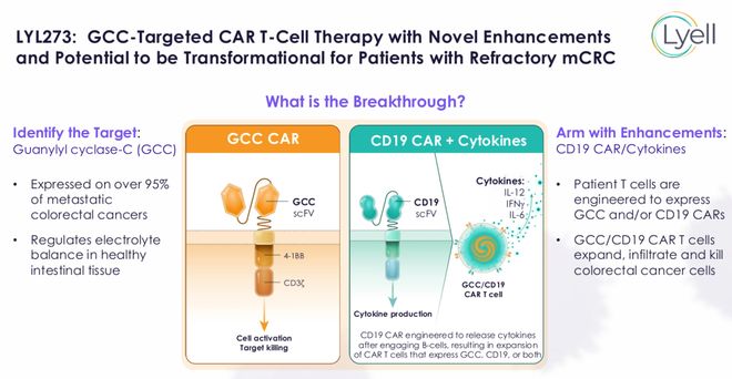 超86亿美元！斯丹赛一款CAR-T达成海外授权(图7)