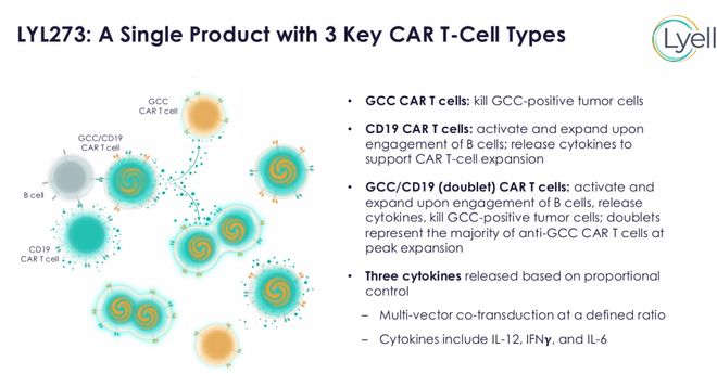 超86亿美元！斯丹赛一款CAR-T达成海外授权(图13)