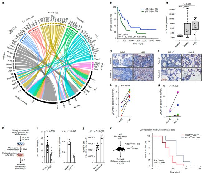 Nature大发现！破解牛磺酸促癌机制克服肿瘤耐药！(图1)