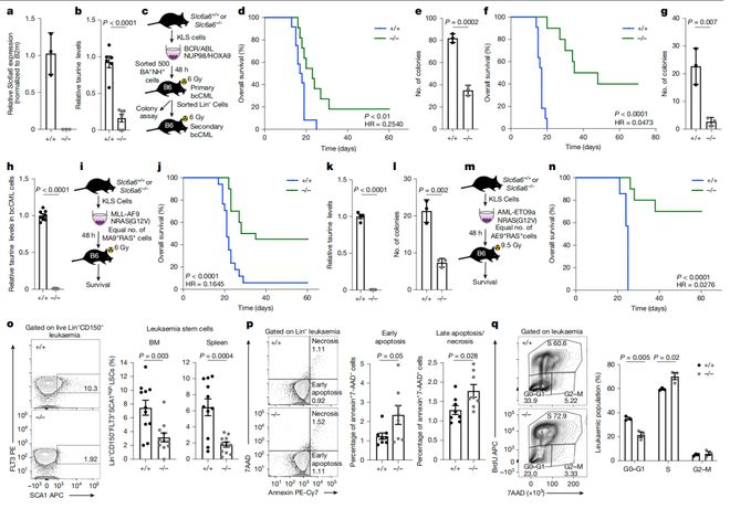 Nature大发现！破解牛磺酸促癌机制克服肿瘤耐药！(图2)