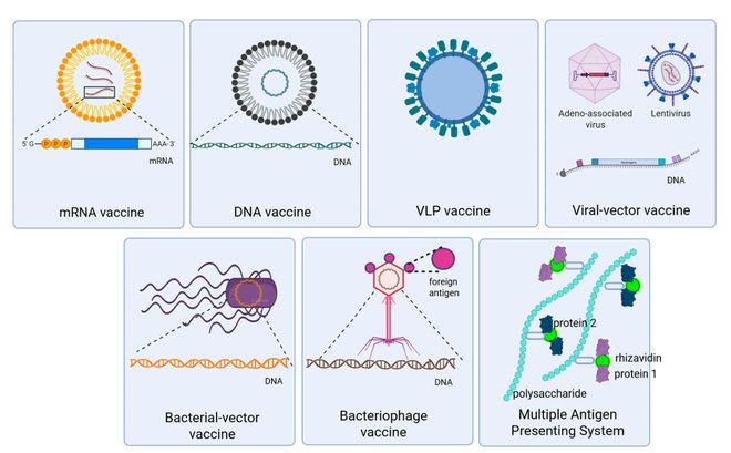 疫苗界大革新：新技术、新突破、新疫苗应用(图2)