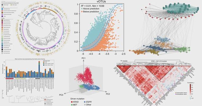 两篇NatureMedicine解读机器学习+特征筛选+模型解释(图9)