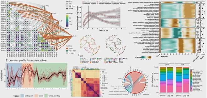 两篇NatureMedicine解读机器学习+特征筛选+模型解释(图8)