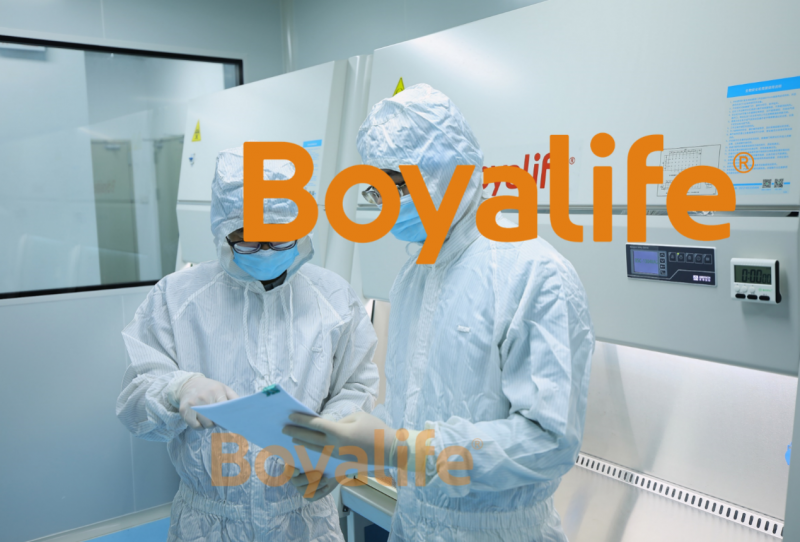 免疫细胞抗衰新边界：从清除衰老细胞到临床级干预方案的探索(图1)