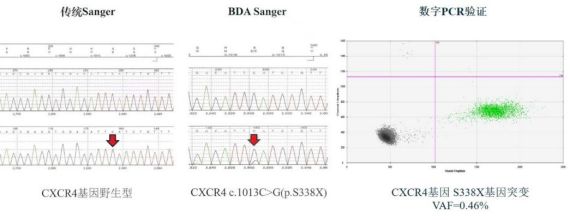 瑞金医术丨这项瑞金自主研发的检测技术大幅度提高罕见血液病的诊疗效率(图2)
