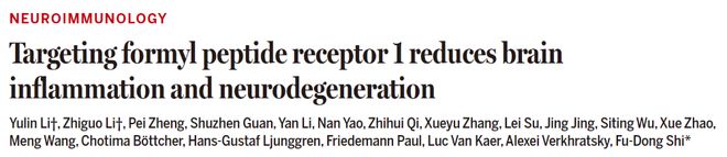 Science丨施福东团队揭示大脑“虚假警报”驱动多发性硬化进展发现潜在的“关闭开关”(图1)