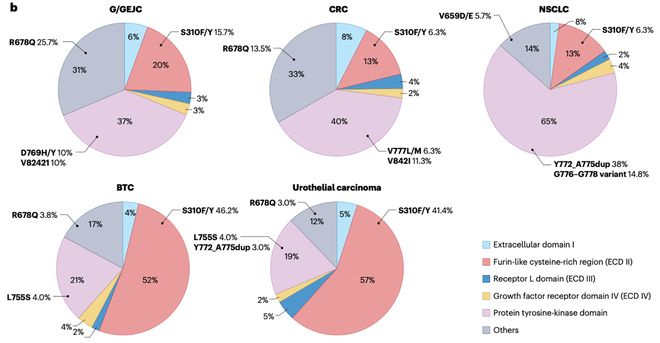 MTB探讨：HER2阳性晚期肝内胆管癌治疗策略｜第45轮长征疑难肿瘤MTB会议(图6)