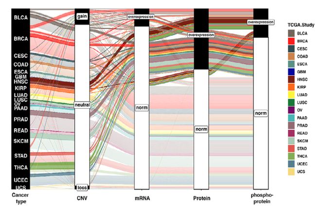 MTB探讨：HER2阳性晚期肝内胆管癌治疗策略｜第45轮长征疑难肿瘤MTB会议(图9)