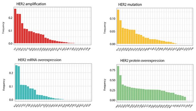MTB探讨：HER2阳性晚期肝内胆管癌治疗策略｜第45轮长征疑难肿瘤MTB会议(图8)